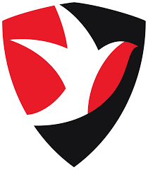 Cheltenham Town Football Club 990 Milhoes euros sem dividas
