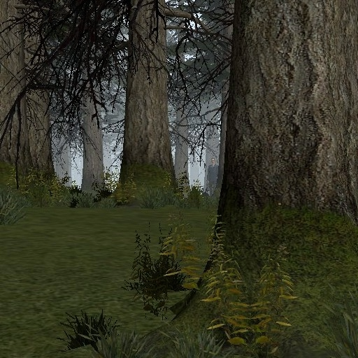 gm_foggy_forest