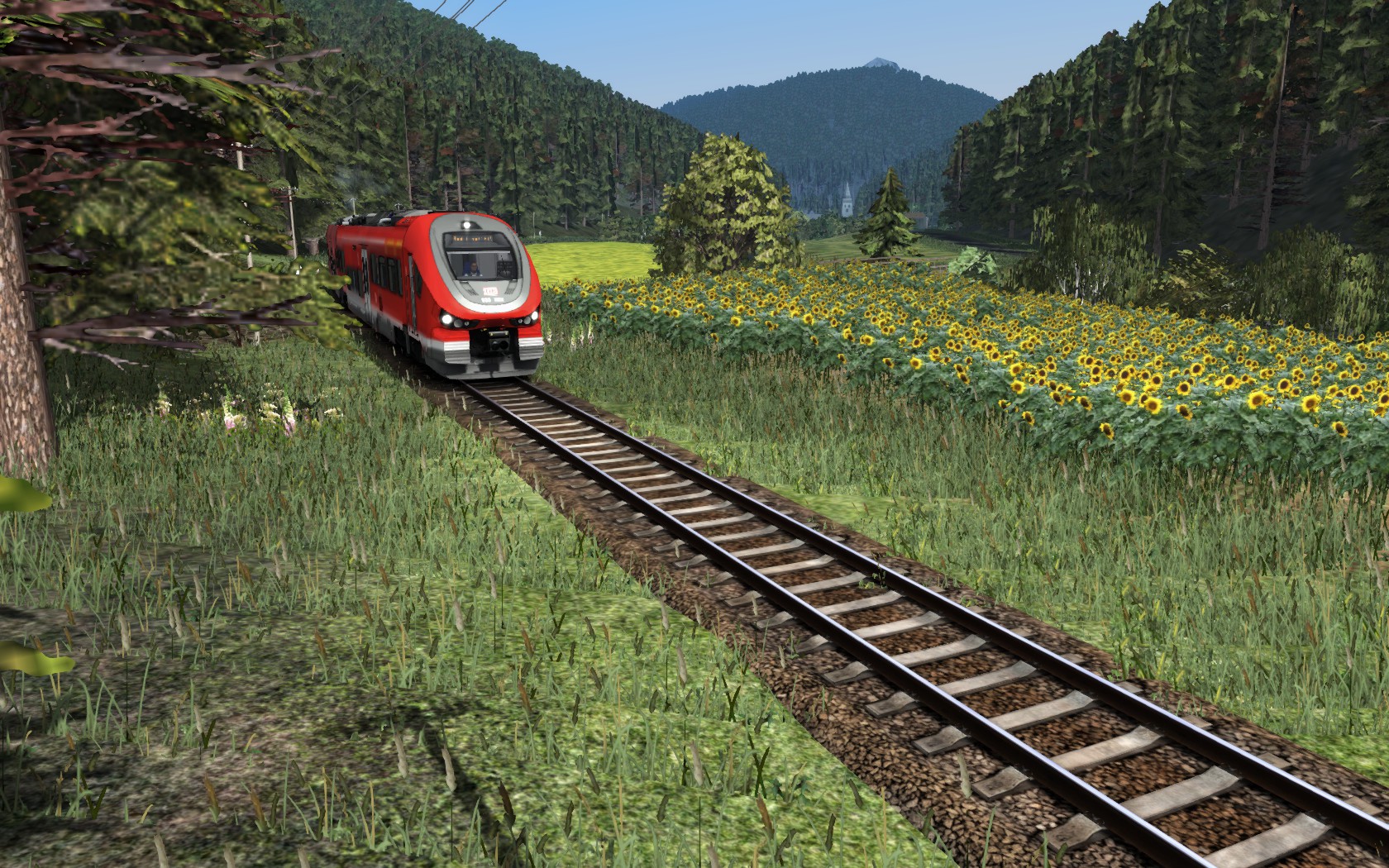 Durch den Wald nach Bad Lisenthal