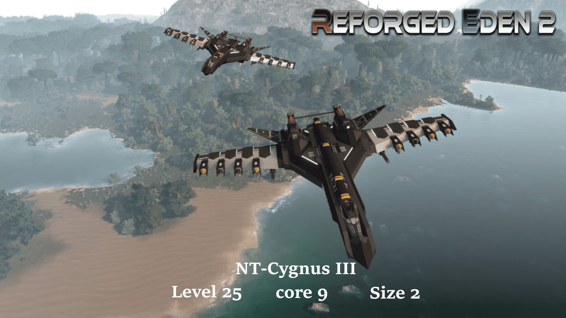 NT-Cygnus III