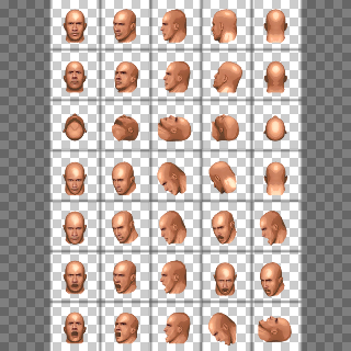 The Rock Revised