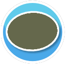 Neutrals Rug Olive Circle