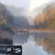 Veiled in dawn mist: a serene forest lake | SalyutSash preview