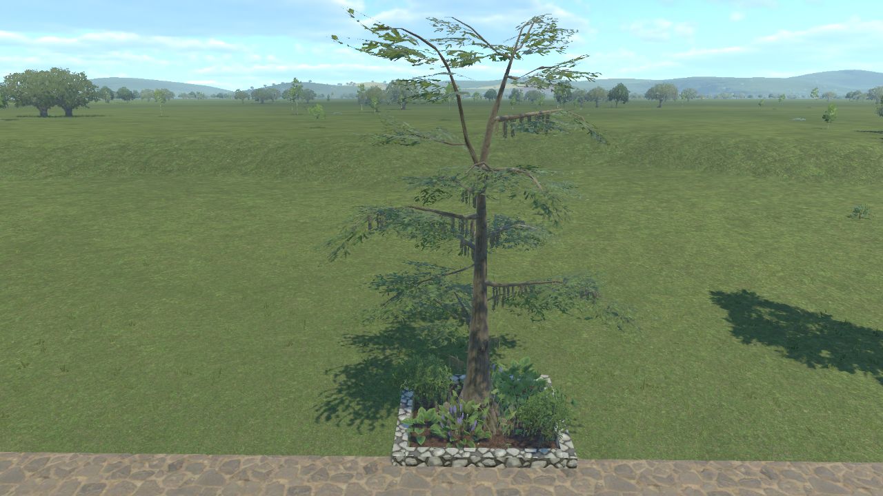 Small Planter Wetland 01