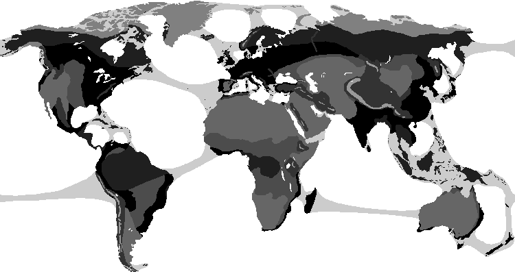 World map but silly