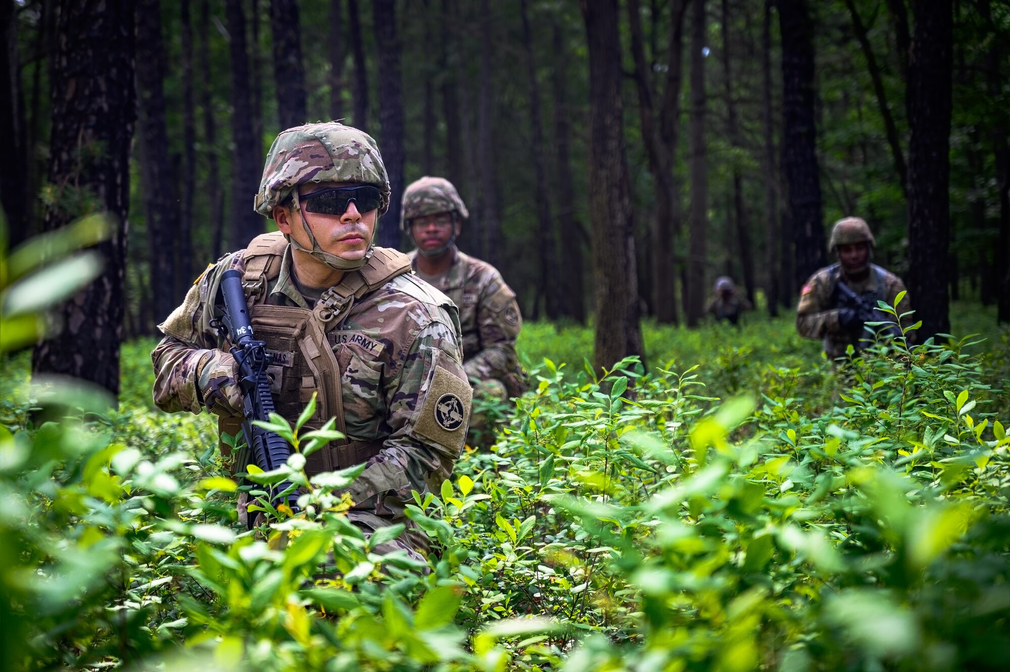 PvE USA Ruda Forest Defense