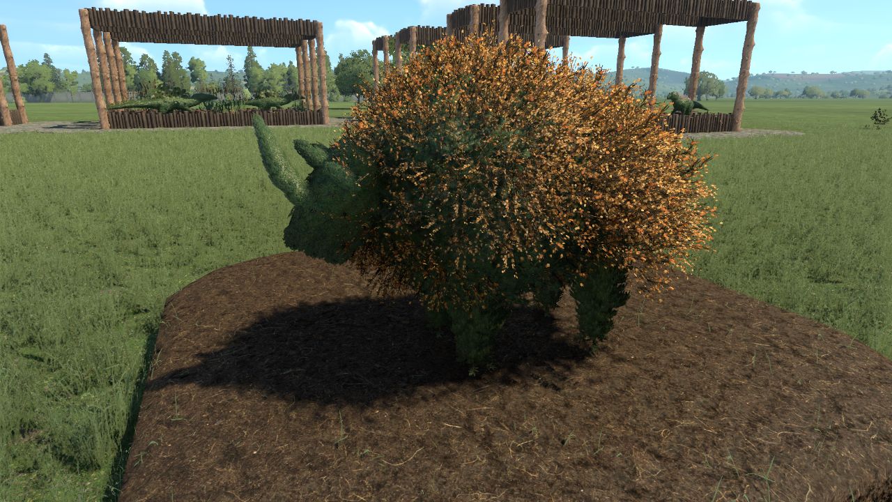 Celodonta Topiary