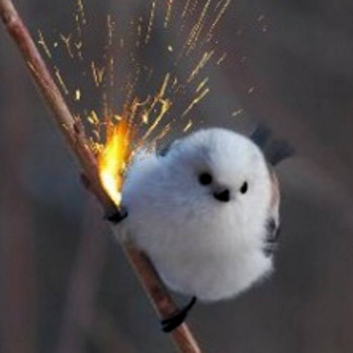 theme of really cool bird - bobacupcake