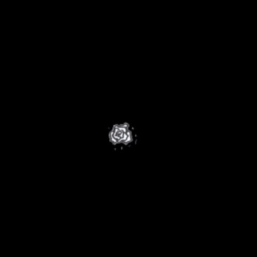 Single flower 2