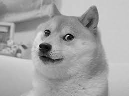 doge gun