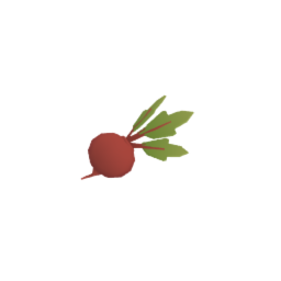 Beetroot - Vegetable - Food