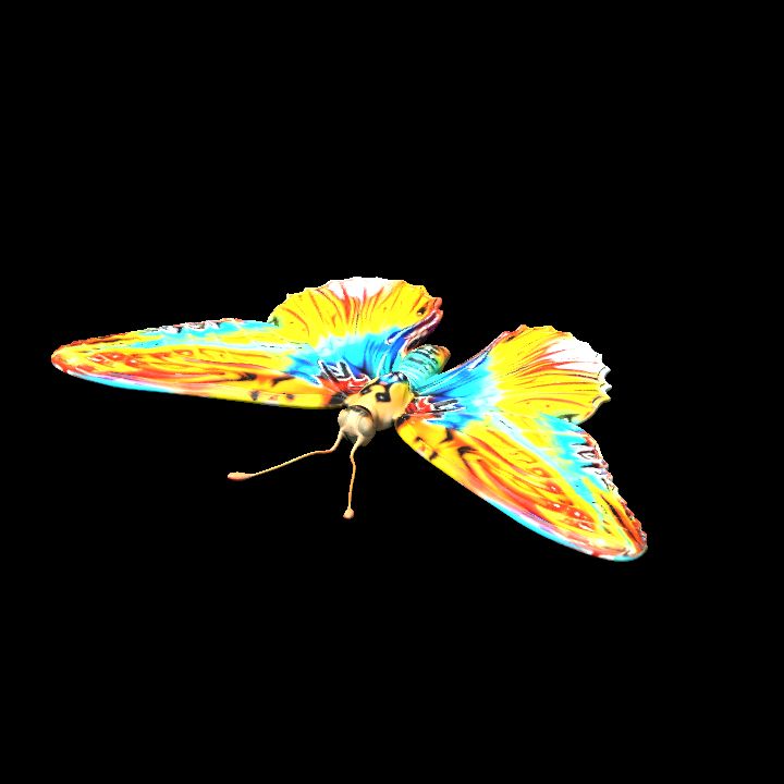 Butterfly 2