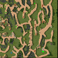 The Rocky Maze