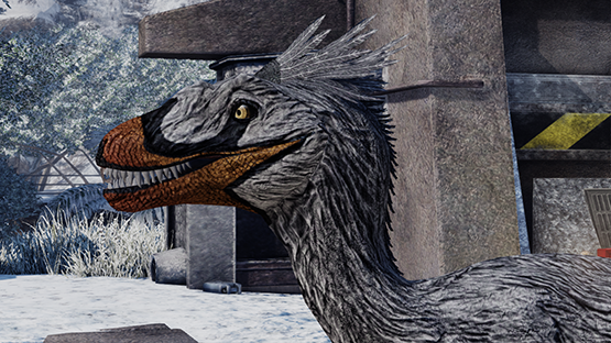 Swan Novaraptor