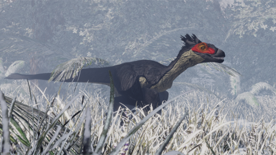 Harrier Novaraptor