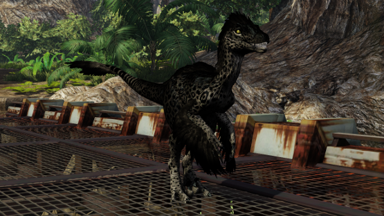 Black Jaguar Novaraptor