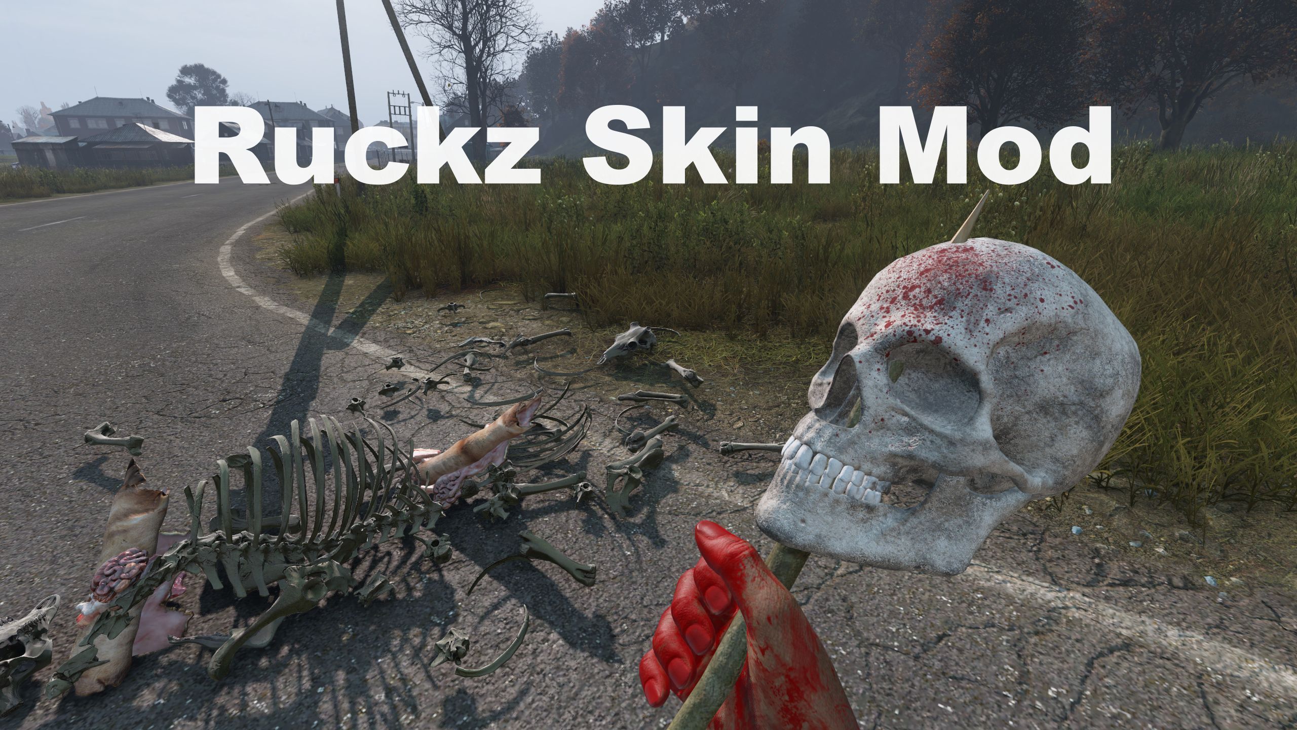Ruckz Skin Mod