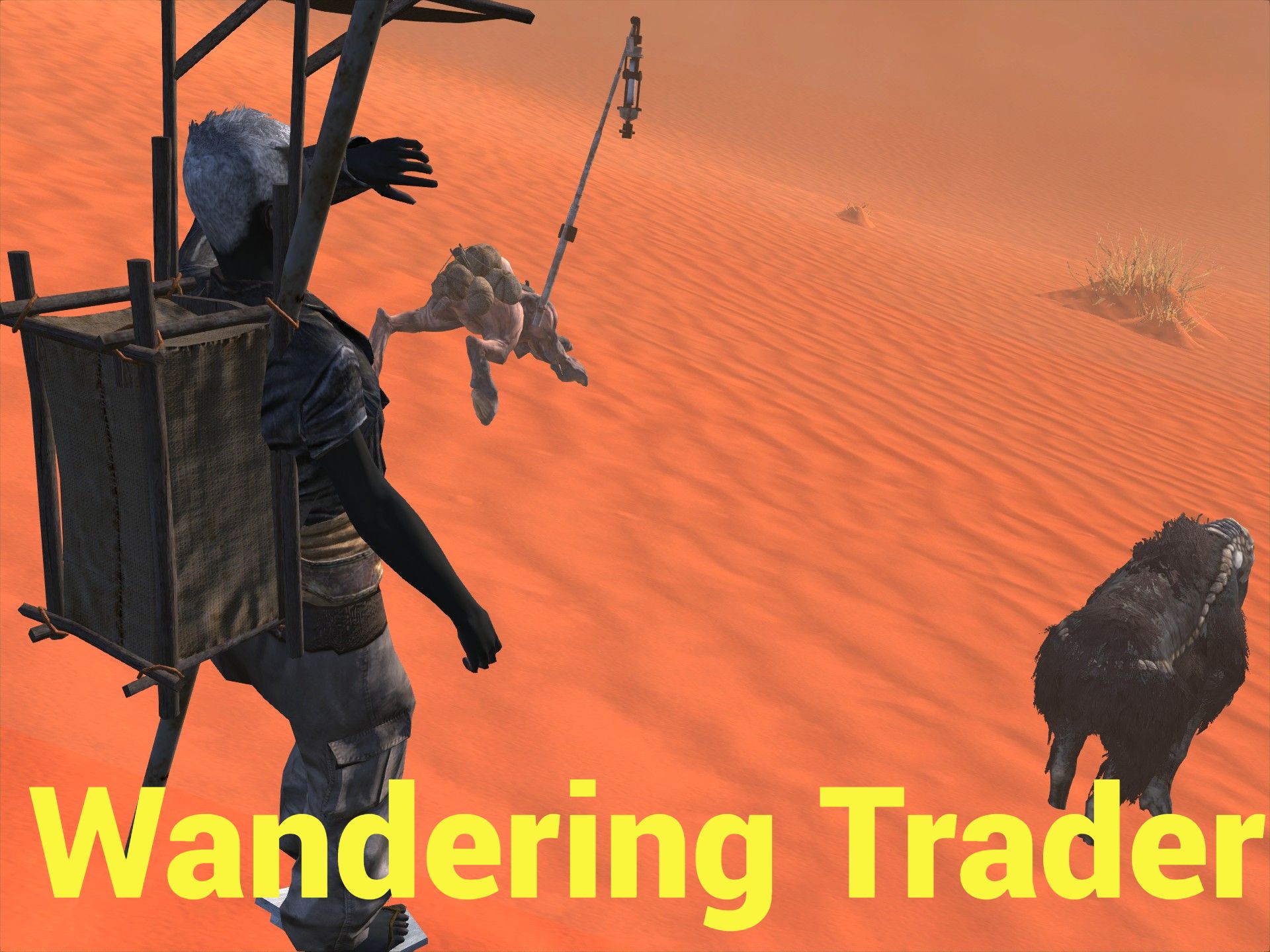 Wandering Solo Trader
