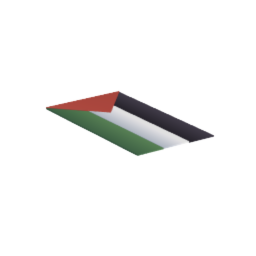Palestinian Flag