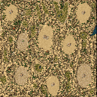 平原-plain