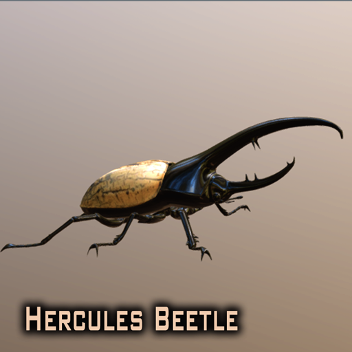 Hercules Beetle