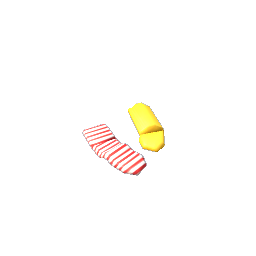Loose Socks- V1