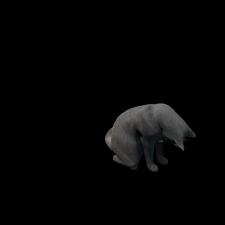 Black Cat Taking a Bath (animated)