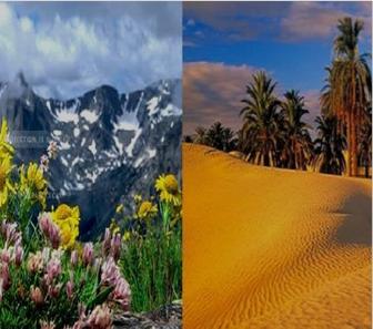 Distinct Climate Civilizations