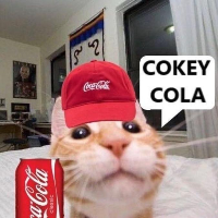 sodacats UwU