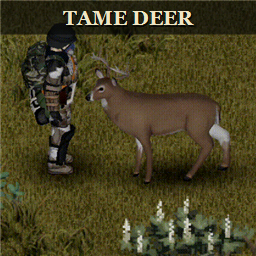 Tame Deer preview