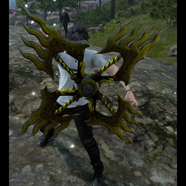 WE05 thunder
