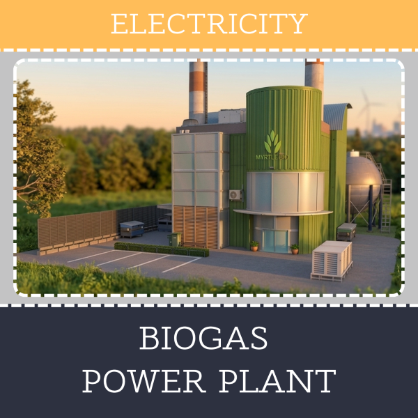 Biogas power plant