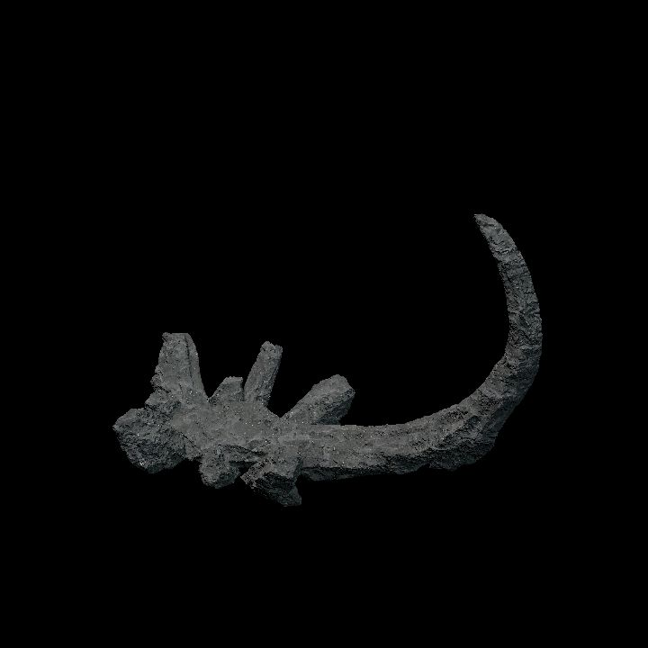 Rock Claw Medium4