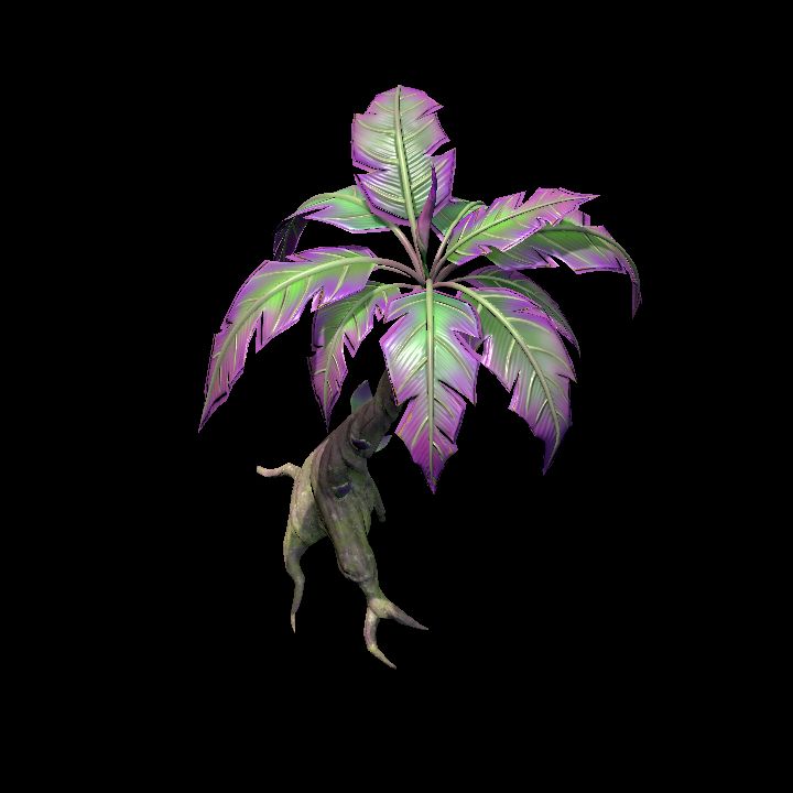 Fey_Plant (4)