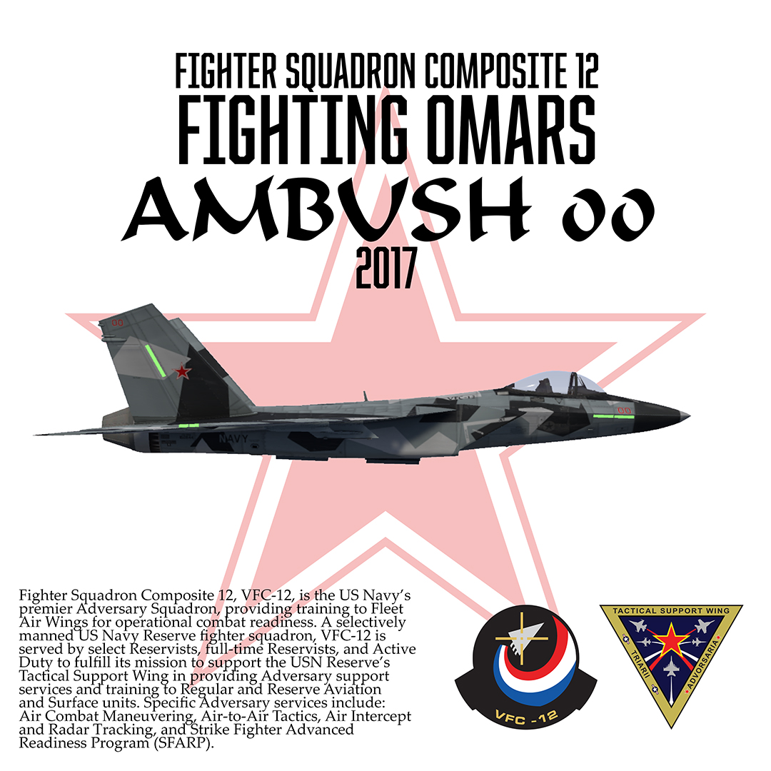 VFC-12 Fighting Omars 00 2017