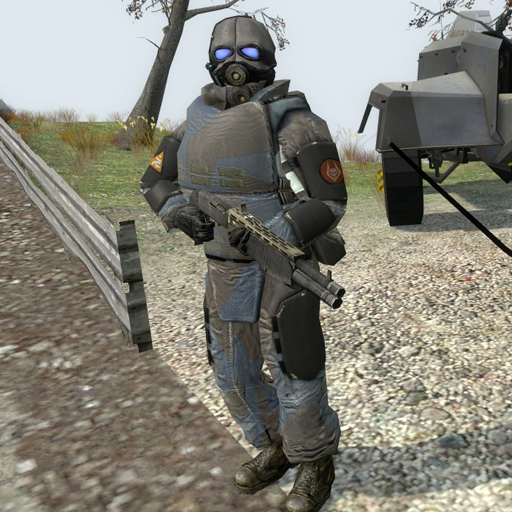 Combine shotgun soldier with the old 2004 skin