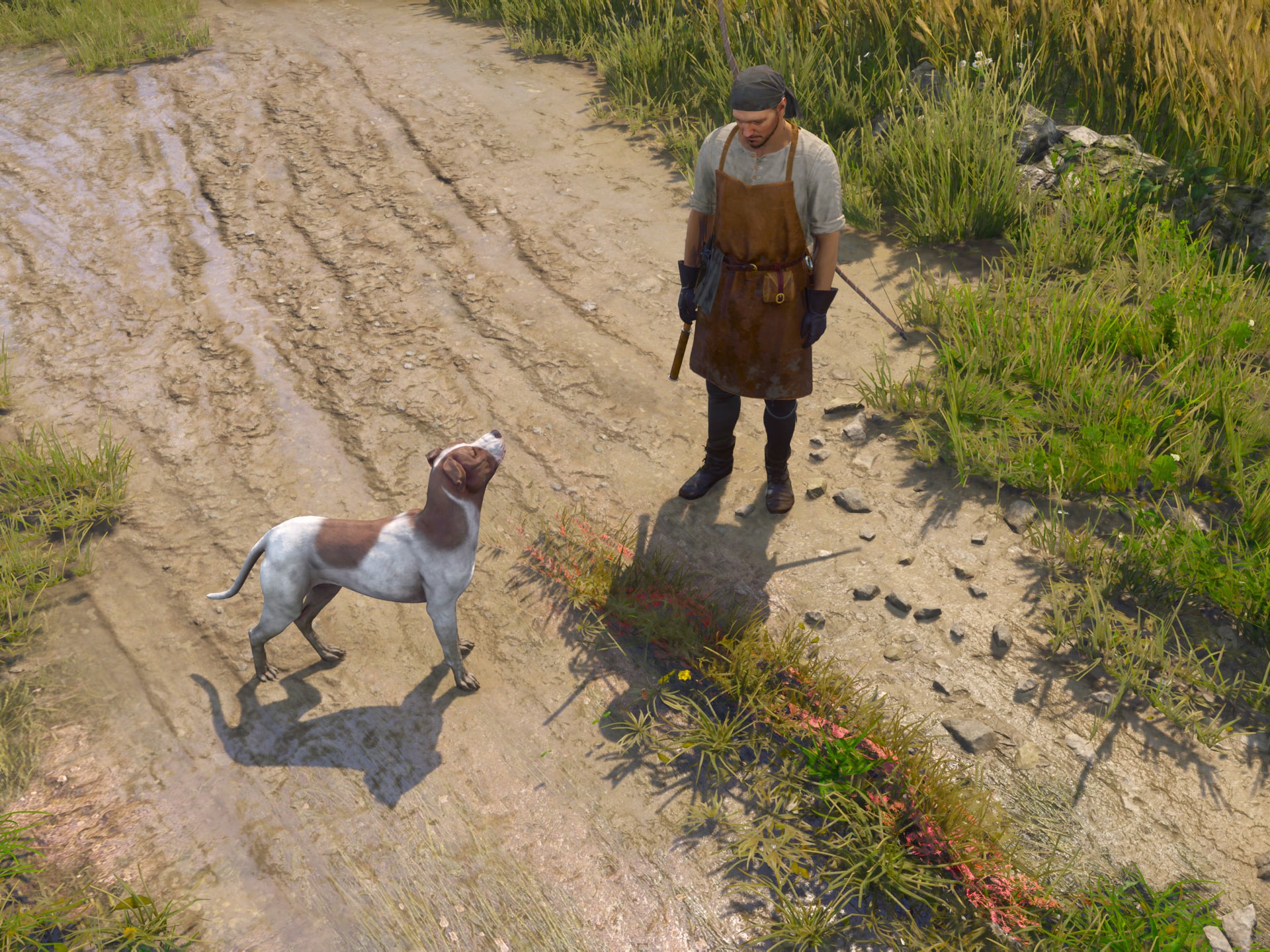 Red Grass Color Fix