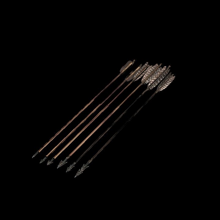Arrows lying on ground