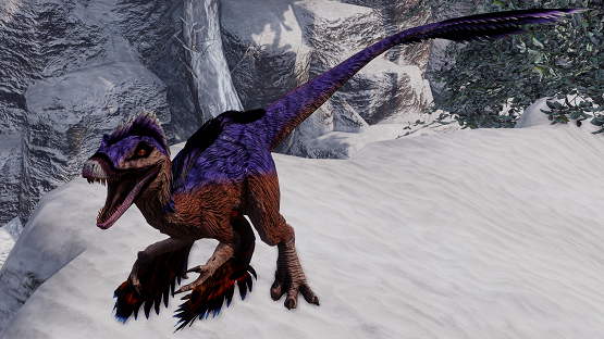 Turtle Dove Feathered Novaraptor