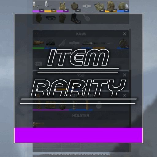 NM ItemRarity