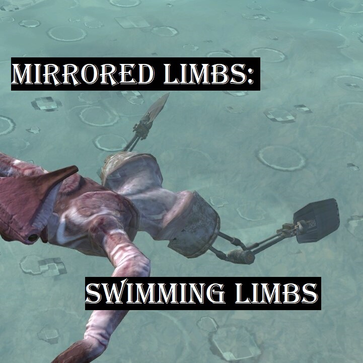 Mirrored Limbs: Swimming limbs