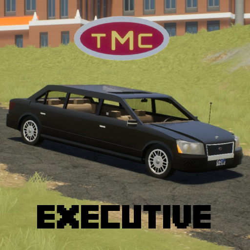 Troubadour executive limo 2012