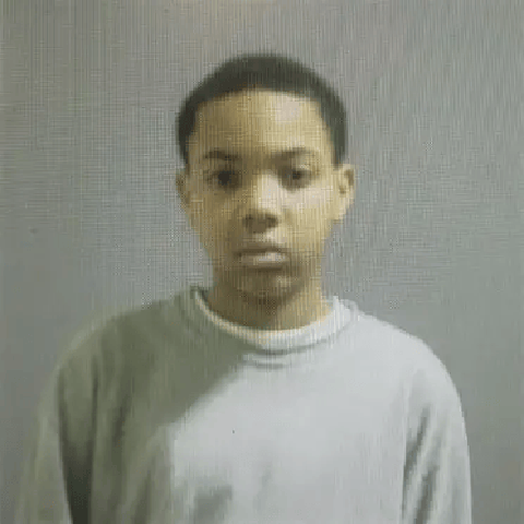 G Herbo – tModLoader Mod