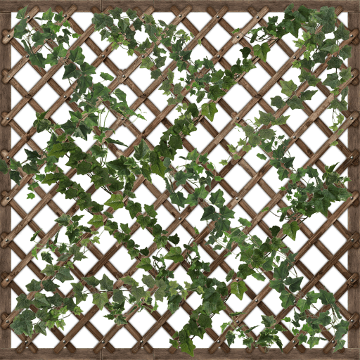 Wall | Ivy