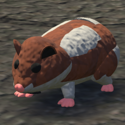 A Hamster