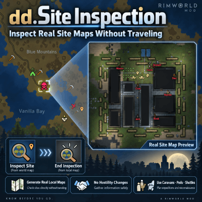 dd.Site Inspection