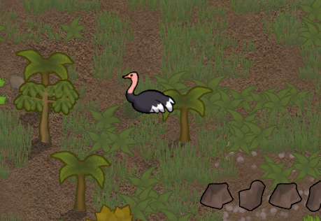 Wild Animal Variety