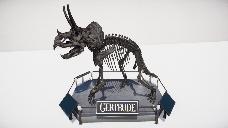 triceratops skeleton display preview