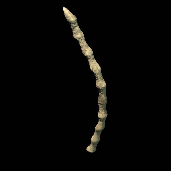 Rib bone standing 1