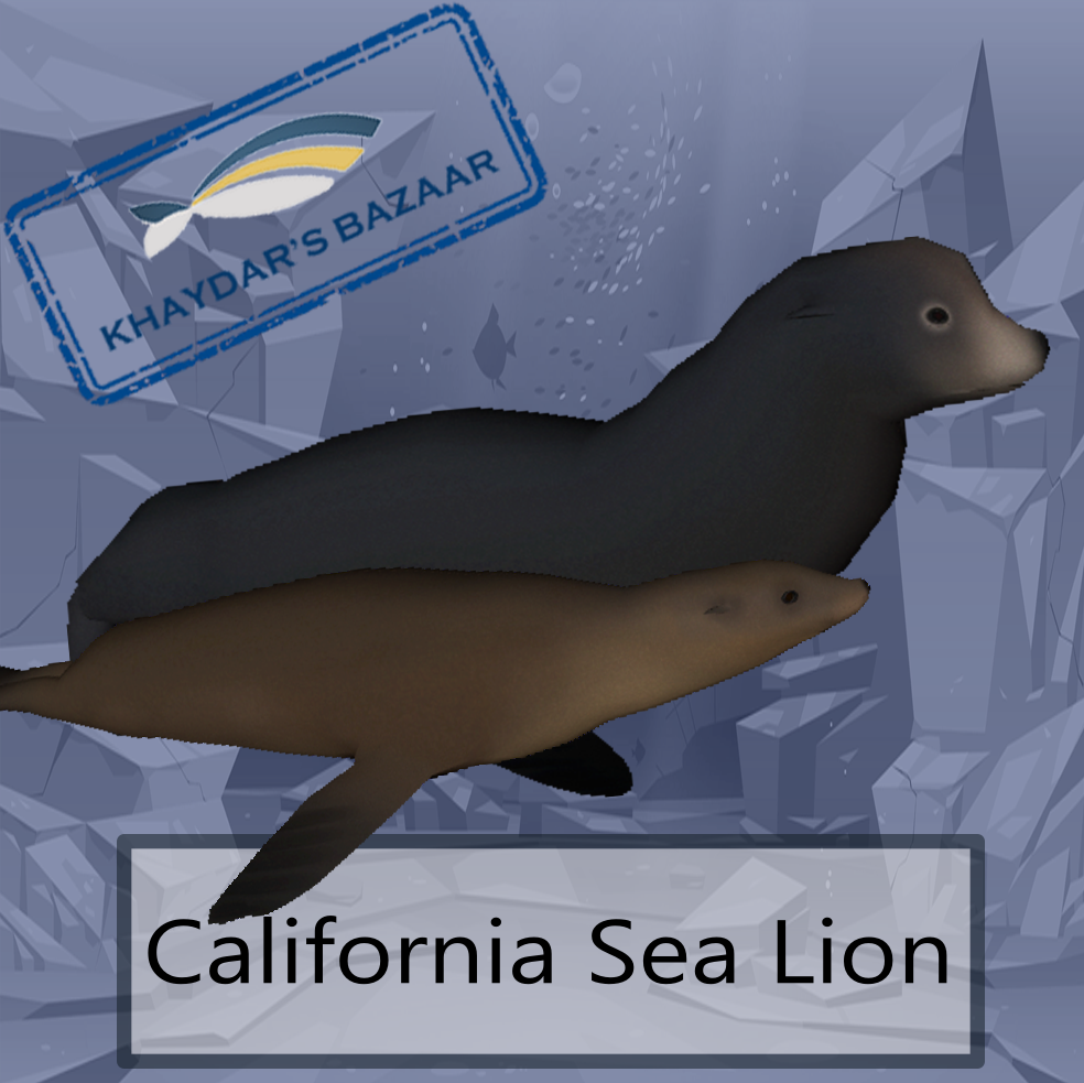 Khaydar's Bazaar - California Sea Lion